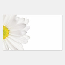 White Daisy Flower Background Customized Daisies Rectangle Stickers