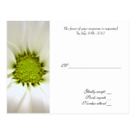 white daisy flower weddings post cards