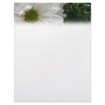 White Daisy Letterhead