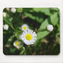 White Daisy mousepads