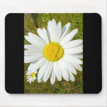 White Daisy Mousepads