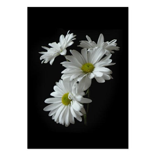 White Daisy Mums ATC Photo Card Business Cards (front side)
