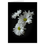 White Daisy Mums Note Card