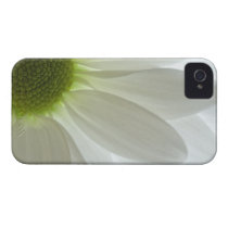 White Daisy Petals iPhone 4 Case-Mate Barely There