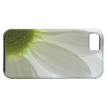 White Daisy Petals iPhone 5 Case-Mate