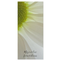 White Daisy Petals Wedding Program Rack Card