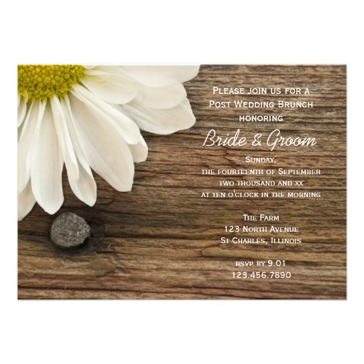 White Daisy Post Wedding Brunch Invitations