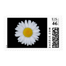 White Daisy Postage