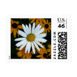 White daisy stamp