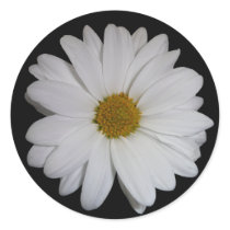 White Daisy Round Stickers