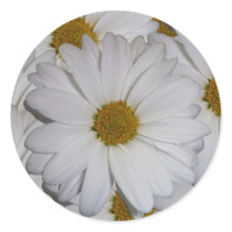 White Daisy Round Sticker