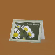 White Daisy Summer Wedding Save the Date cards by loraseverson White Daisy Summer Wedding Save the Date cards
