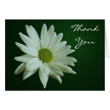 White Daisy Thank You Card