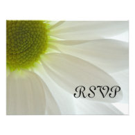 White Daisy Wedding RSVP Response Card Personalized Announcement