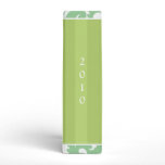 White Damask Lime Striped and Aqua Photo Binder
