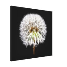 White Dandelion Flower Plant Gallery Wrapped Canvas