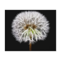 White Dandelion Flower Plant Full Color Flyer