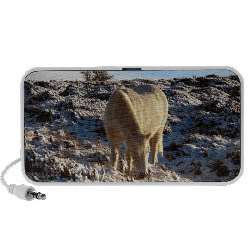 White dartmoor pony grazeing in snow iPhone speakers