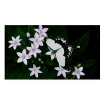 white delights business cards by dawnmcininch white delights business cards