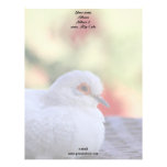 White Diamond dove bird letterhead