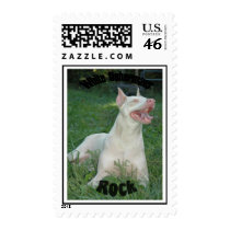 White Dobermans Rock Stamps