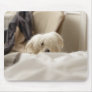 White dog hiding behind bed (differential focus) mouse pad