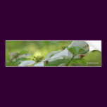 White Dogwood Flower Photo Bumper Sticker