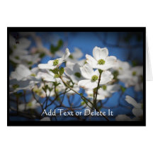 White Dogwood Flowers card