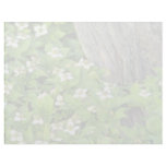 white Dogwood flowers, Quebec, Canada. flowers Personalized Letterhead