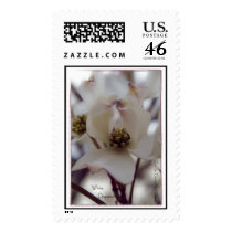 White Dogwood Stamps