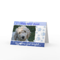 White Doodle Christmas cards by cowboyannie White Doodle Christmas cards