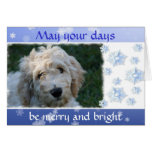 White Doodle Christmas Cards