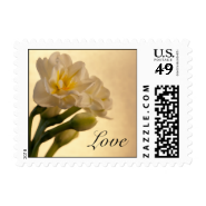 White Double Daffodils Love Wedding Postage Stamps