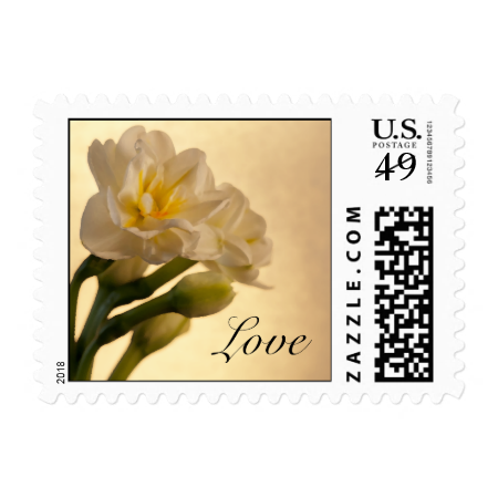 White Double Daffodils Love Wedding Postage Stamps