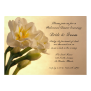 White Double Daffodils Rehearsal Dinner 5" X 7" Invitation Card