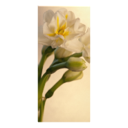 White Double Daffodils Wedding Program Rack Cards
