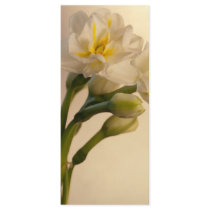 White Double Daffodils Wedding Program Rack Cards
