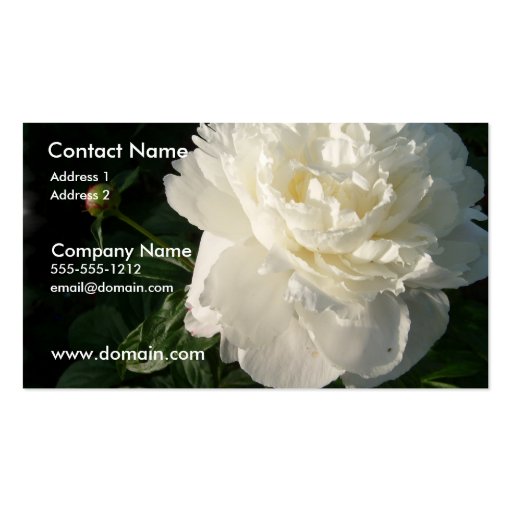 White Double Peony Business Card (front side)