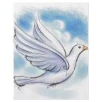 white dove flyers