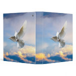 White dove in flight at sunset binders