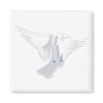 White Dove in Flight Image magnets