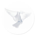 White Dove in Flight Image stickers