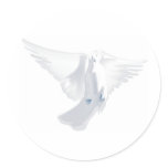 White Dove in Flight Image
