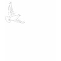 White Dove t-shirts by provideforall White Dove t-shirts