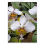 White Dragons Greeting Cards