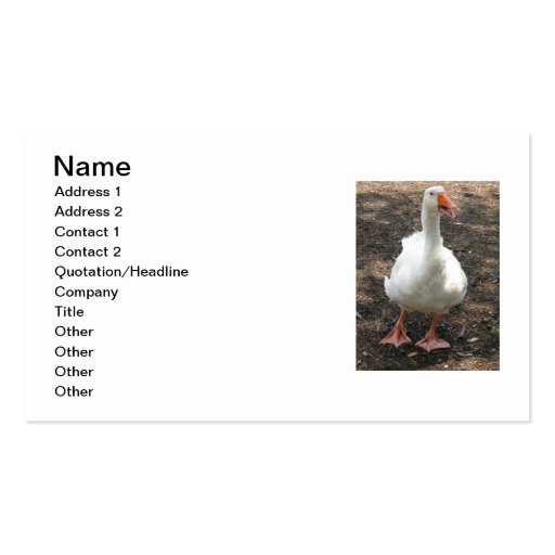 White duck business cards (front side)