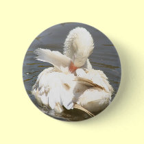 White duck buttons