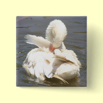 White duck buttons