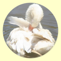 White duck stickers