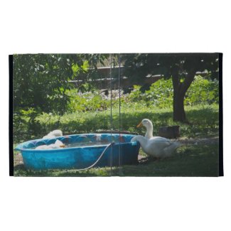White Ducks and a Pool